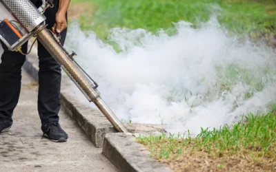 Pulverização Estratégica – Solução da Dengue?