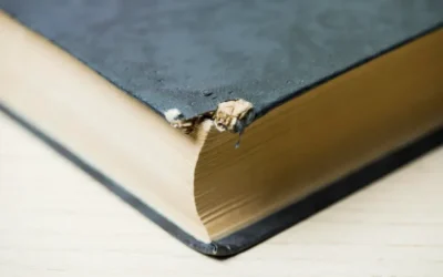 Principais espécies de traças que atacam suas roupas e livros