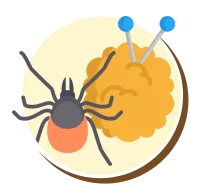 Ácaros | Ciclo de vida dos ácaros | Higienização Contra ácaros | RJ