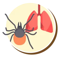 Ácaros | Ciclo de vida dos ácaros | Higienização Contra ácaros | RJ