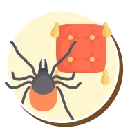 Ácaros | Ciclo de vida dos ácaros | Higienização Contra ácaros | RJ