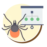 Ácaros | Ciclo de vida dos ácaros | Higienização Contra ácaros | RJ