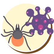 Ácaros | Ciclo de vida dos ácaros | Higienização Contra ácaros | RJ