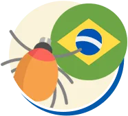 Carrapatos | Conheça sobre a Praga | Dedetização Carrapato RJCarrapatos | Conheça sobre a Praga | Dedetização Carrapato RJ