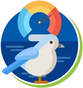 Pombos | Biologia dos pombos | Ciclo de Vidas | Manejo de Pombos RJ