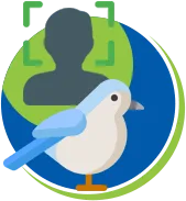 Pombos | Biologia dos pombos | Ciclo de Vidas | Manejo de Pombos RJ