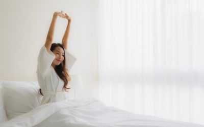 5 Razões para você contratar a dedetização de percevejo de cama em hotéis