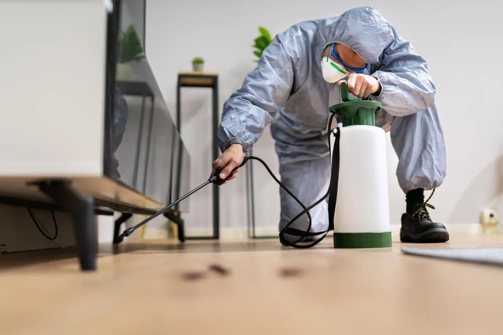 O preço da descupinização impacta na qualidade da empresa contratada