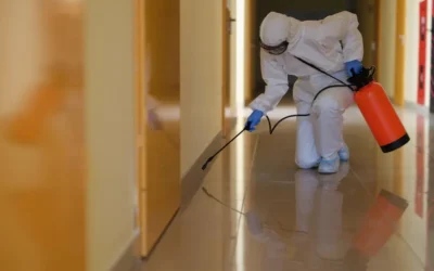 Serviços de sanitização em tempo de coronavírus e outras doenças