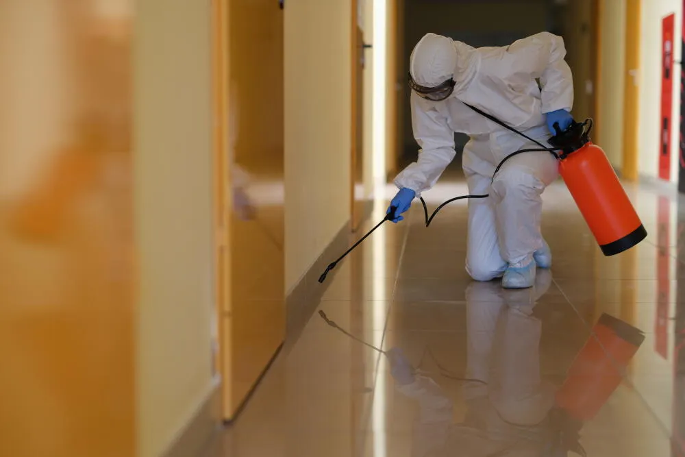 Serviços de sanitização em tempo de coronavírus e outras doenças