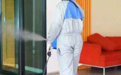 Sanitização de Clubes: mantenha sua área de diversão protegida