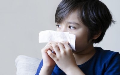 Ácaros – dormindo com milhares de inimigos