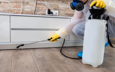 A importância da sanitização para empresas e residências