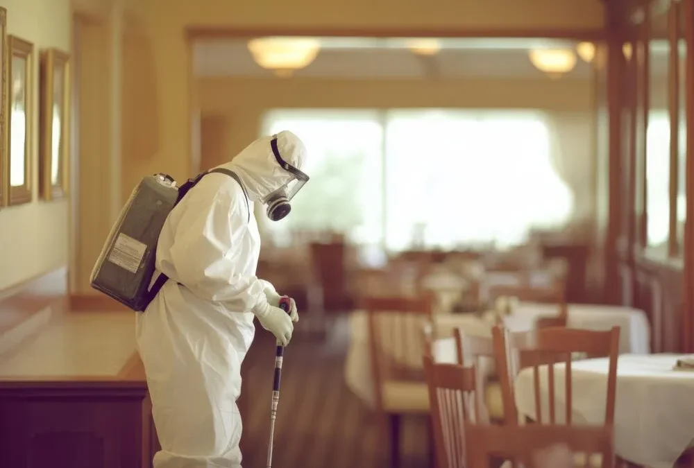 A frequência do Controle de Pragas no seu restaurante é a correta?