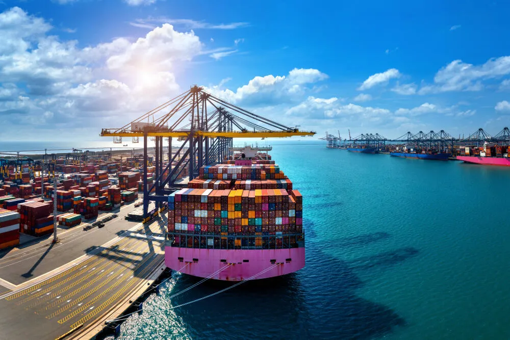 Controle de Pragas em Navios: faça o serviço antes que as pragas dominem a embarcação