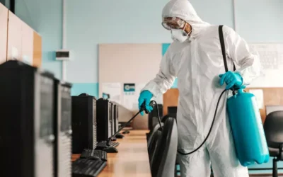 Diferenças entre Dedetização e Desinsetização: saiba qual escolher