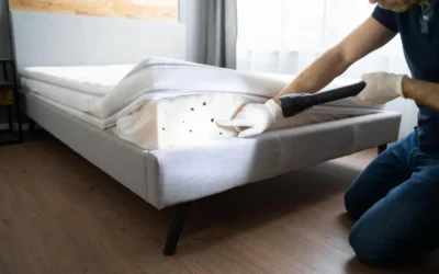 A dedetização de percevejo de cama é um desafio: saiba o motivo!