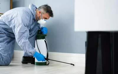 Dedetização em Copacabana RJ: Como Garantir a Proteção de Casas e Empresas