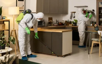 ANVISA e dedetização: critérios avaliados em inspeções sanitárias no RJ