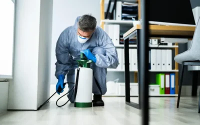 Dedetização e vigilância sanitária: critérios avaliados em fiscalizações de rotina