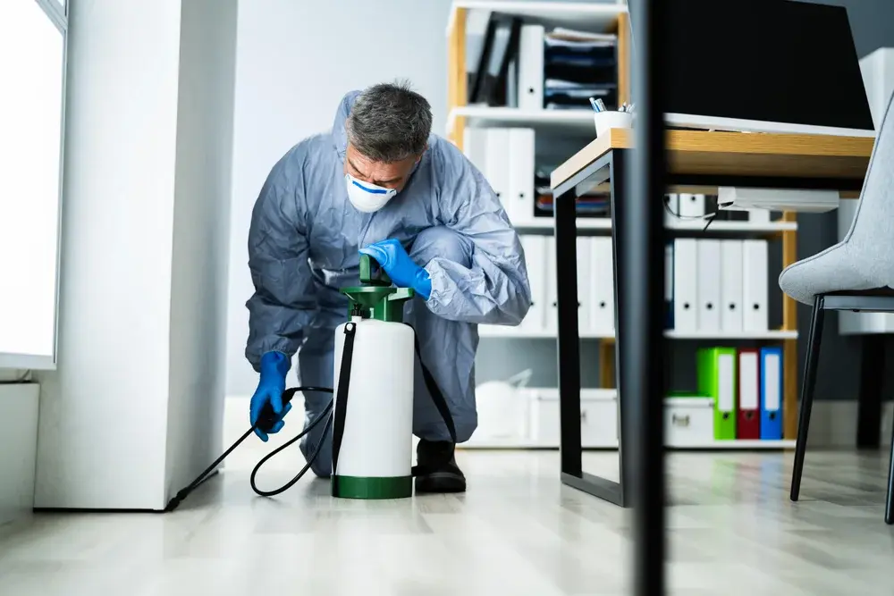 Dedetização e vigilância sanitária: critérios avaliados em fiscalizações de rotina
