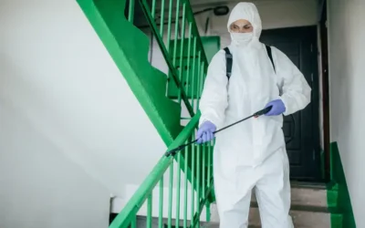 Dedetizadora no RJ: exigências legais para manutenção da licença sanitária
