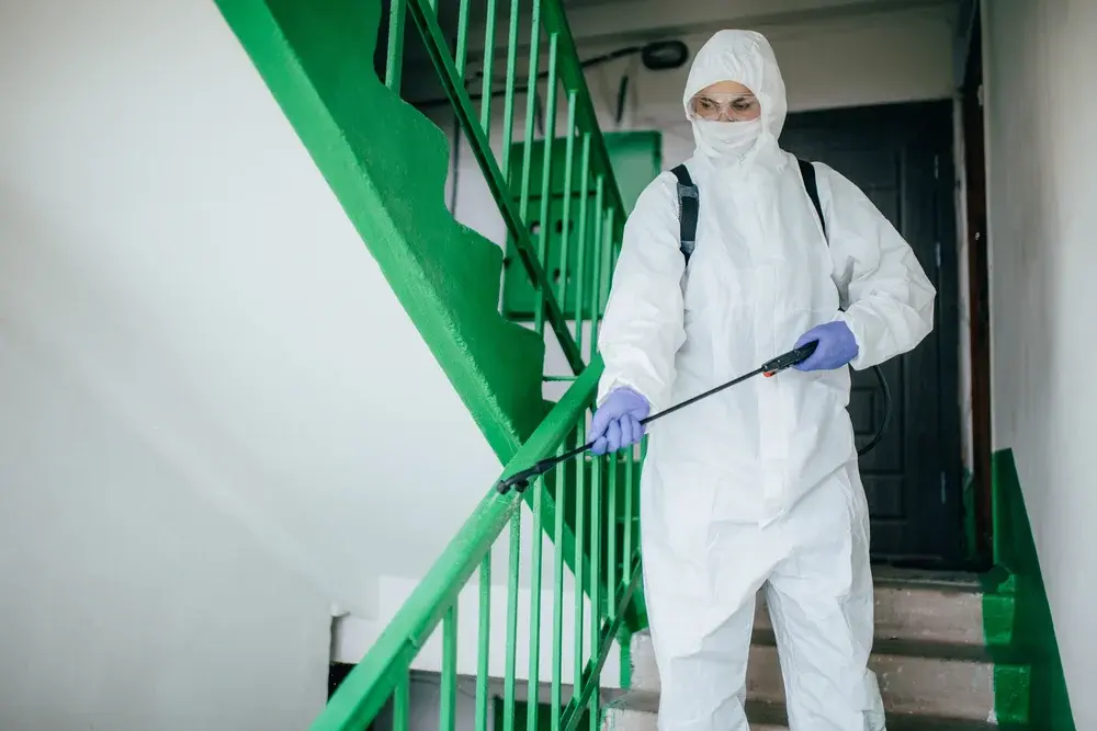 Dedetizadora no RJ: exigências legais para manutenção da licença sanitária Dedetizadora no RJ: exigências legais para manutenção da licença sanitária