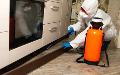 Dedetização no RJ e a análise de riscos sanitários em ambientes regulados