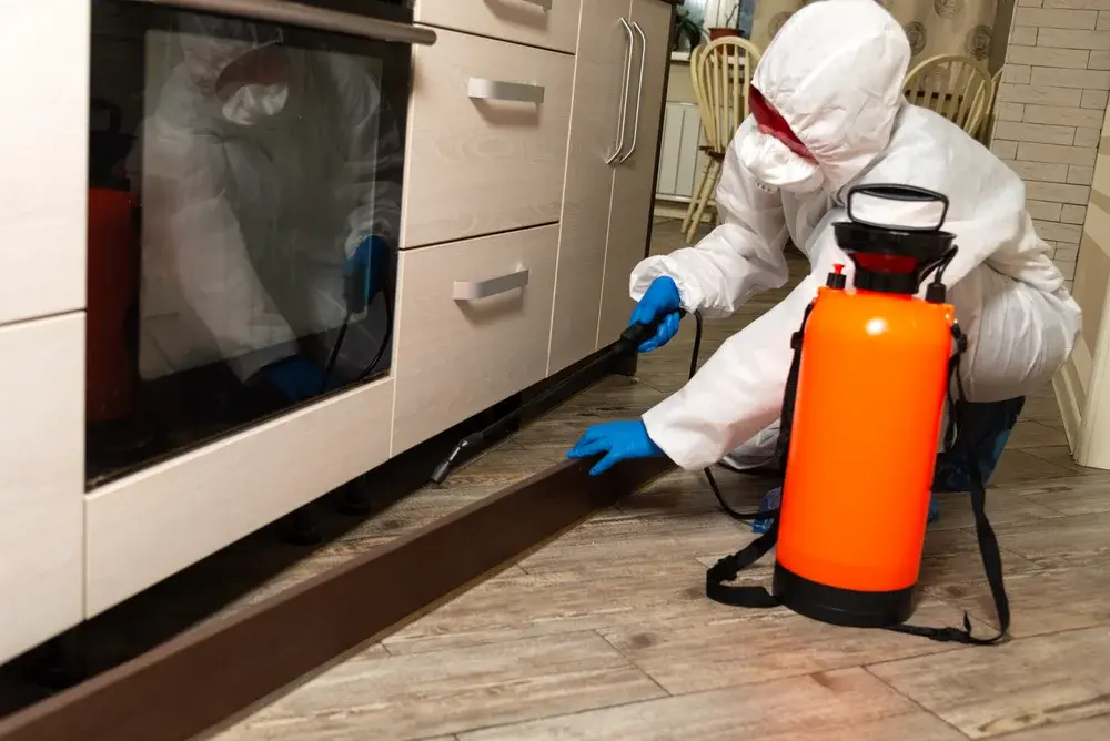 Dedetização no RJ e a análise de riscos sanitários em ambientes regulados Dedetização no RJ e a análise de riscos sanitários em ambientes regulados