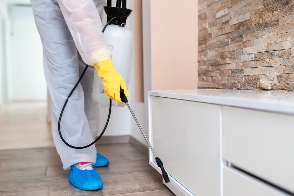 RDC 622/2022 e dedetização: prevenção de passivos regulatórios no RJ RDC 622/2022 e dedetização: prevenção de passivos regulatórios no RJ